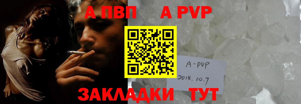 A PVP СК КРИС Волгодонск